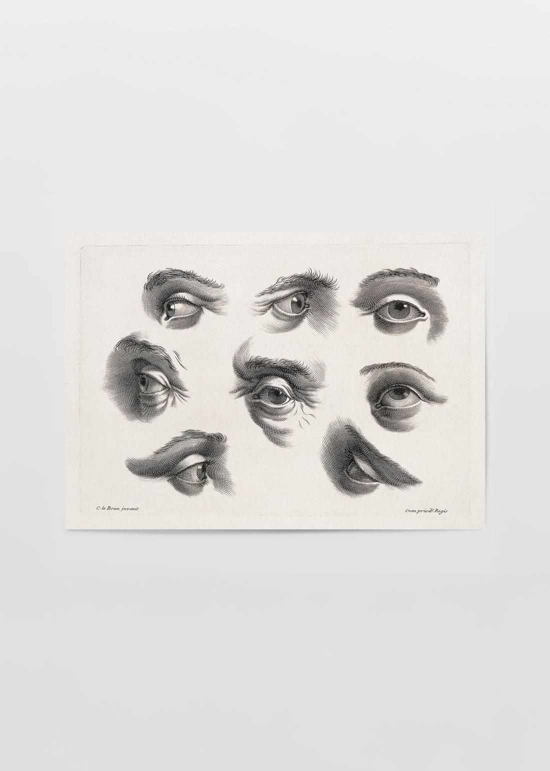 Eight Eyes