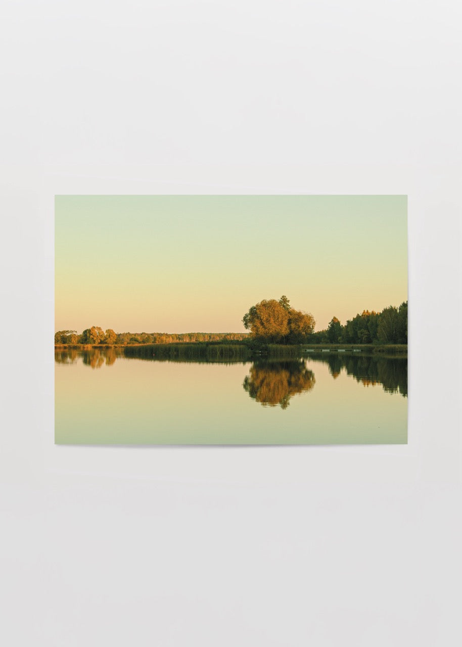 reflection of silence lake in bialystok doga manzara fotograf poster