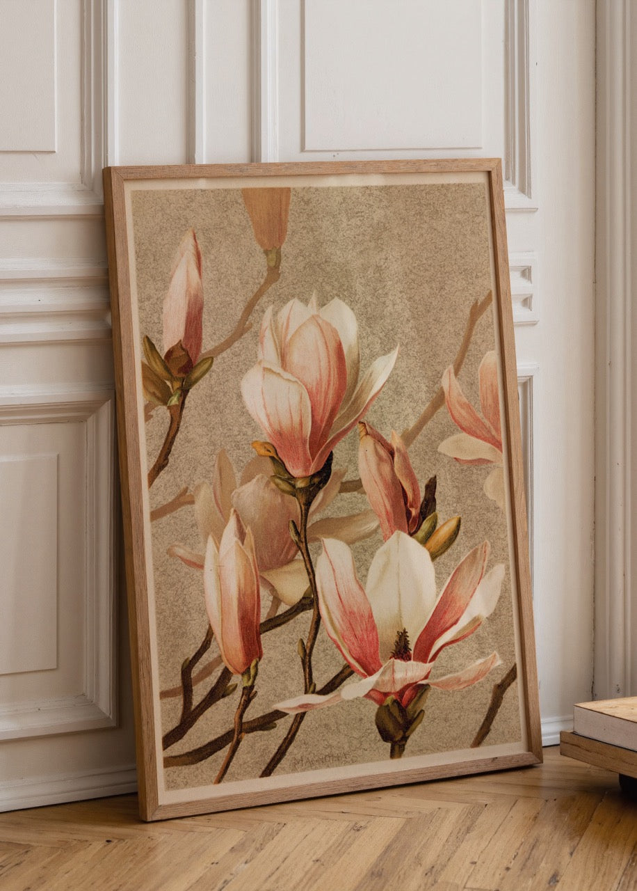 Dalları üzerinde pembe beyaz magnolia çiçekleri bulunan vintage botanik illüstrasyon poster.
