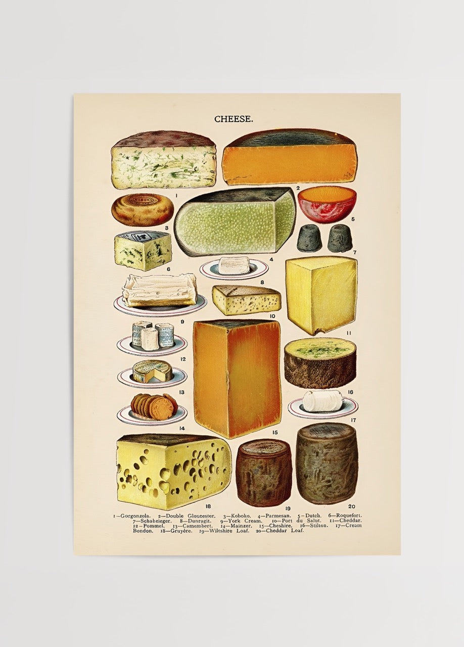 20 farklı peynir türünü gösteren vintage stil renkli illüstrasyon poster