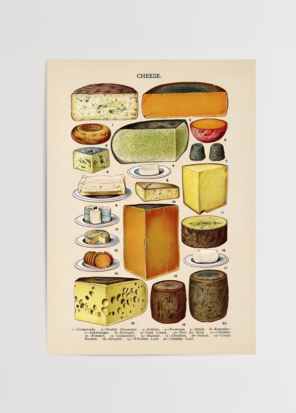 20 farklı peynir türünü gösteren vintage stil renkli illüstrasyon poster