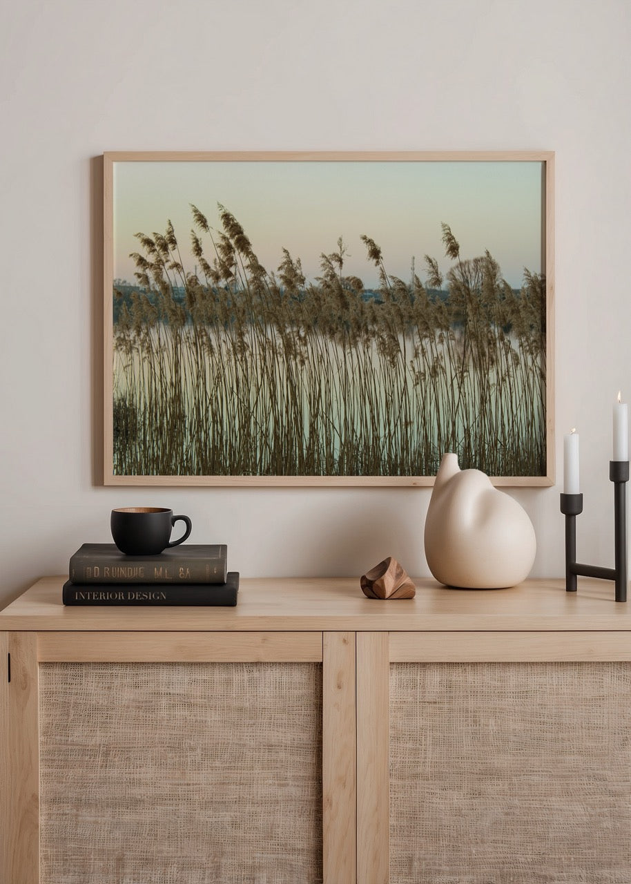 whispering reeds lake in bialystok sazlar dogal manzara fotograf poster