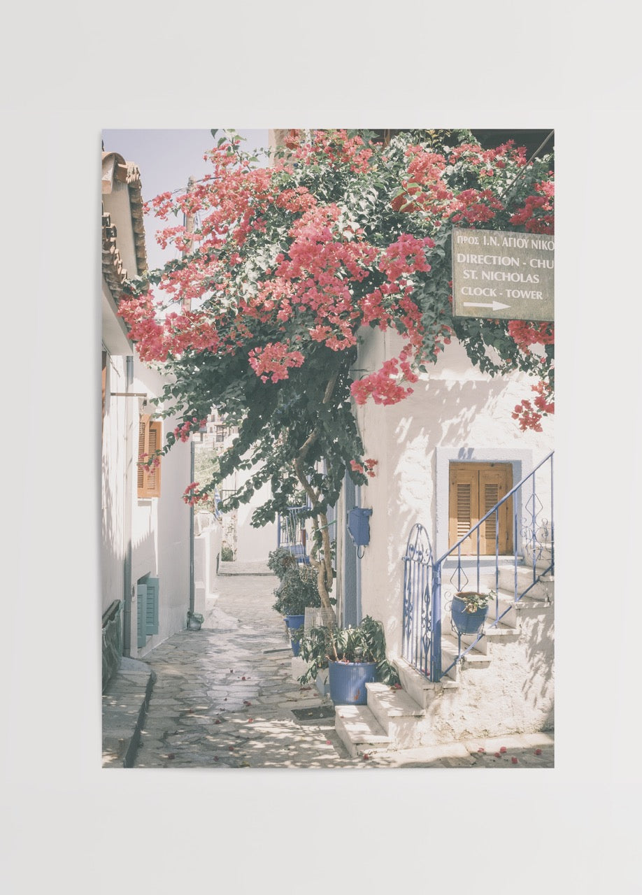 Begonvillerle kaplı beyaz evler arasında yer alan Yunan adası taş sokak fotoğraf posteri