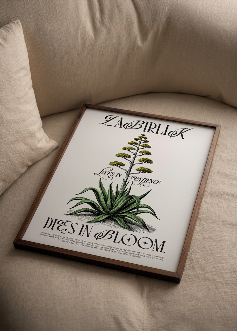 Başka Bodrum imzalı Zabırlık posteri, agave bitkisi illüstrasyonu ve “Lives in Patience, Dies in Bloom” yazısı