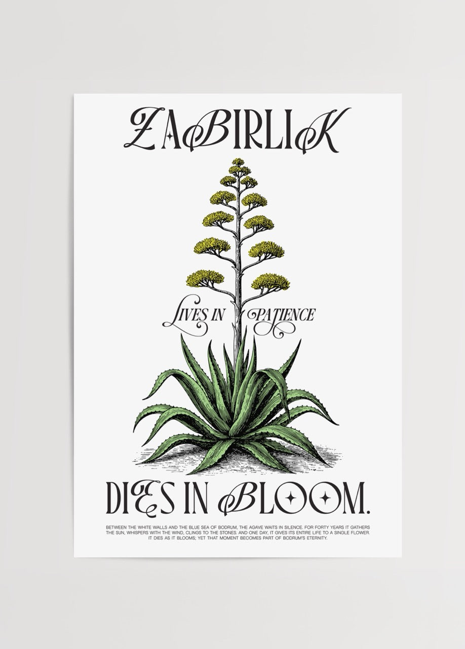 Başka Bodrum imzalı Zabırlık posteri, agave bitkisi illüstrasyonu ve “Lives in Patience, Dies in Bloom” yazısı