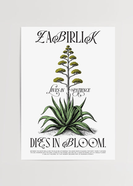 zabirlik-baska-bodrum-poster-